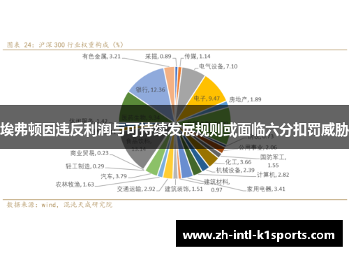 埃弗顿因违反利润与可持续发展规则或面临六分扣罚威胁